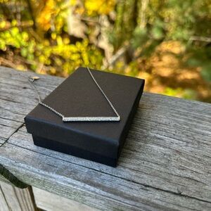 EXPRESS Elegant Silver Bar Necklace